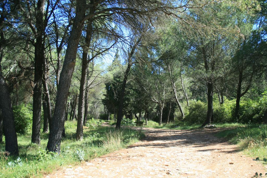 Chambres D'Hotes Le Puid De Gauthier Saturargues Εξωτερικό φωτογραφία